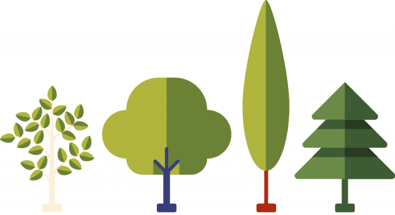 cuatro árboles símbolo de cada house del colegio